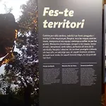 Refugi Arbolí Hostal