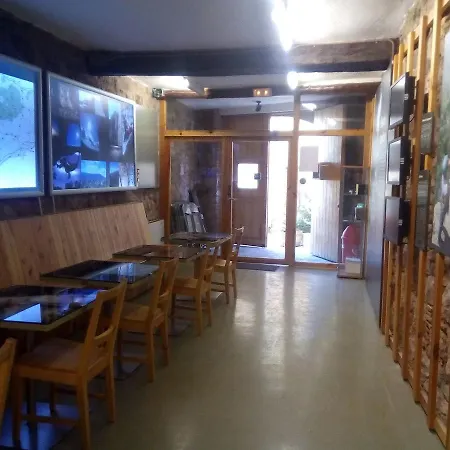 Refugi * Arboli
